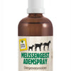 Spray buccal VITALstyle Melissengeist 20 ml – pour une respiration fraîche dès le départ chez les jeunes animaux