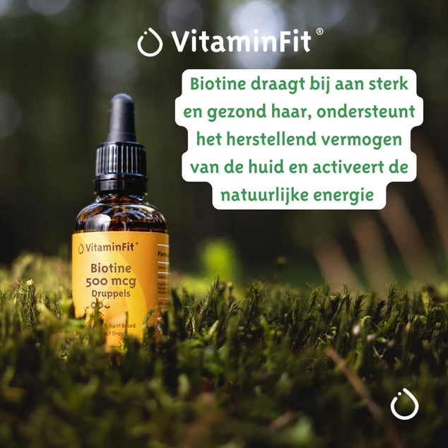 Biotine 500 mcg Druppels