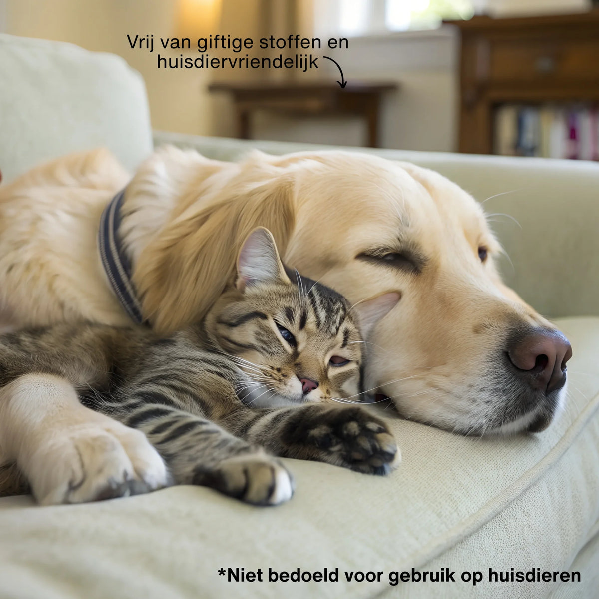 Vlekkenreiniger Clean and Fresh