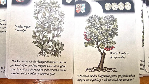 Lobelius, het spel