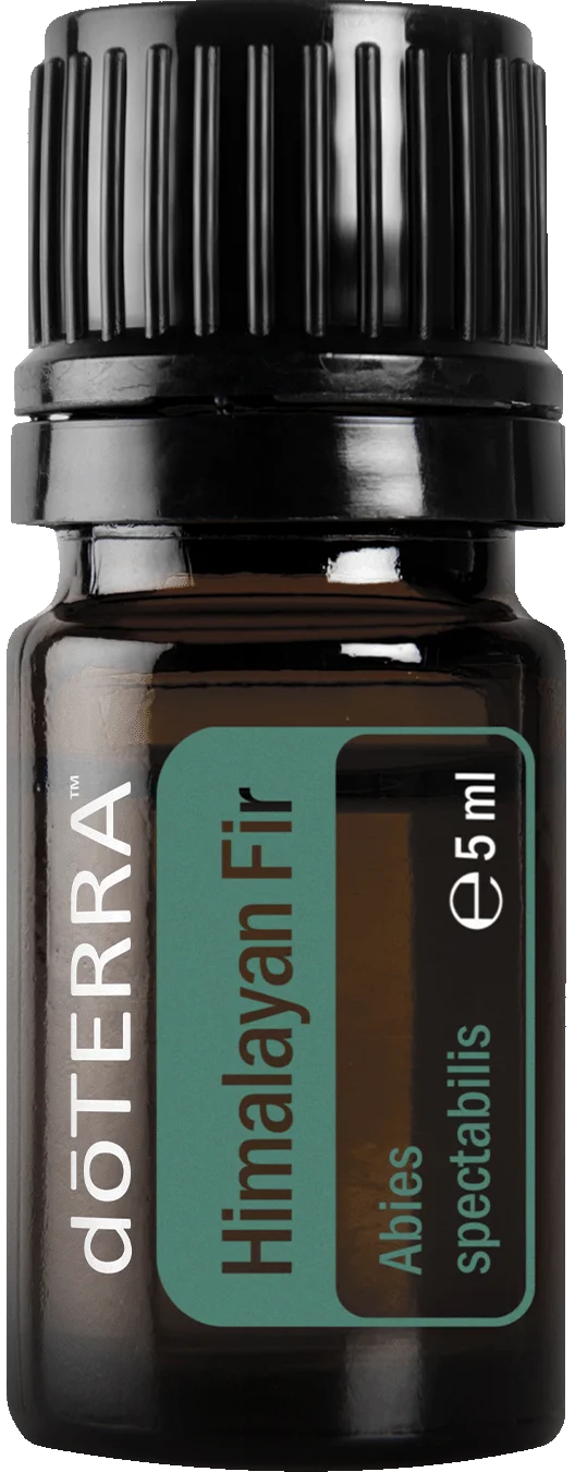 Himalayan Fir - Pure Essential Oil - 5ml