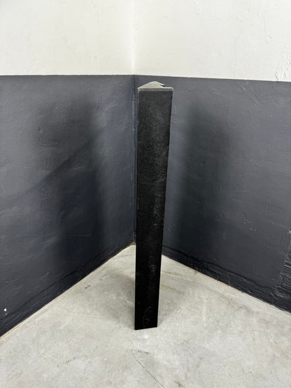 Rampe de seuil Bordstein BR22 - 100 x 980 mm | noire | Sûre et accessible