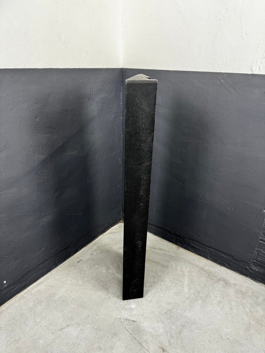 Rampe de seuil Bordstein BR22 - 100 x 980 mm | noire | Sûre et accessible