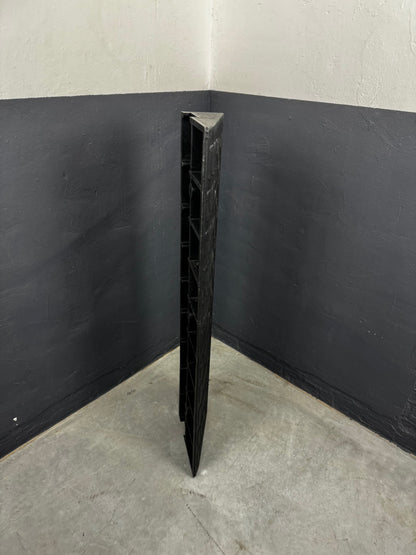 Rampe de seuil Bordstein BR22 - 100 x 980 mm | noire | Sûre et accessible