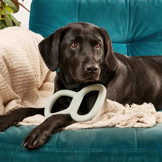 Tough Tugger - Trekspeelgoed voor honden - Natuurlijk rubber - Beco Pets - Groen of Roze - Roze