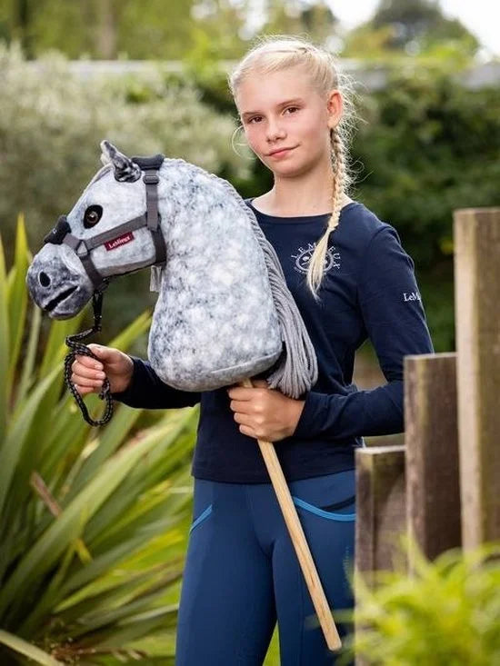 Hobby horse