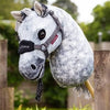 Hobby horse