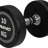 Avento Dumbbell - Halter 10 kg - Zwart/Staal