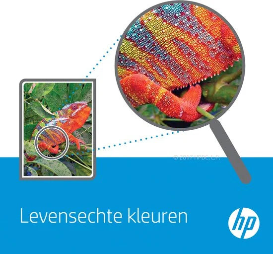 HP 303 - Inktcartridges - Origineel - Standaard capaciteit - Kleur en Zwart