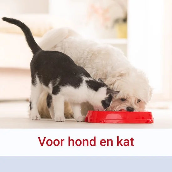 Pharmox Hond & Kat Glucosamine 500 ml - Belangrijke bouwsteen voor honden en katten