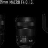 Panasonic LUMIX S Lens 24-105 mm F4 MACRO O.I.S. Ø77