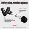 Alpine Tune Oordopjes Festival - Concert Oordopjes met Geluidsdemping - Hifi Geluidskwaliteit - 19dB Gehoorbescherming met Helder Geluid - 4 Maten Oo
