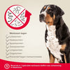 Beaphar Milquestra Hond - 4 Tabletten
