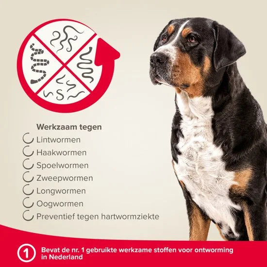 Beaphar Milquestra Hond - 4 Tabletten