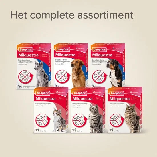Beaphar Milquestra Hond - 4 Tabletten